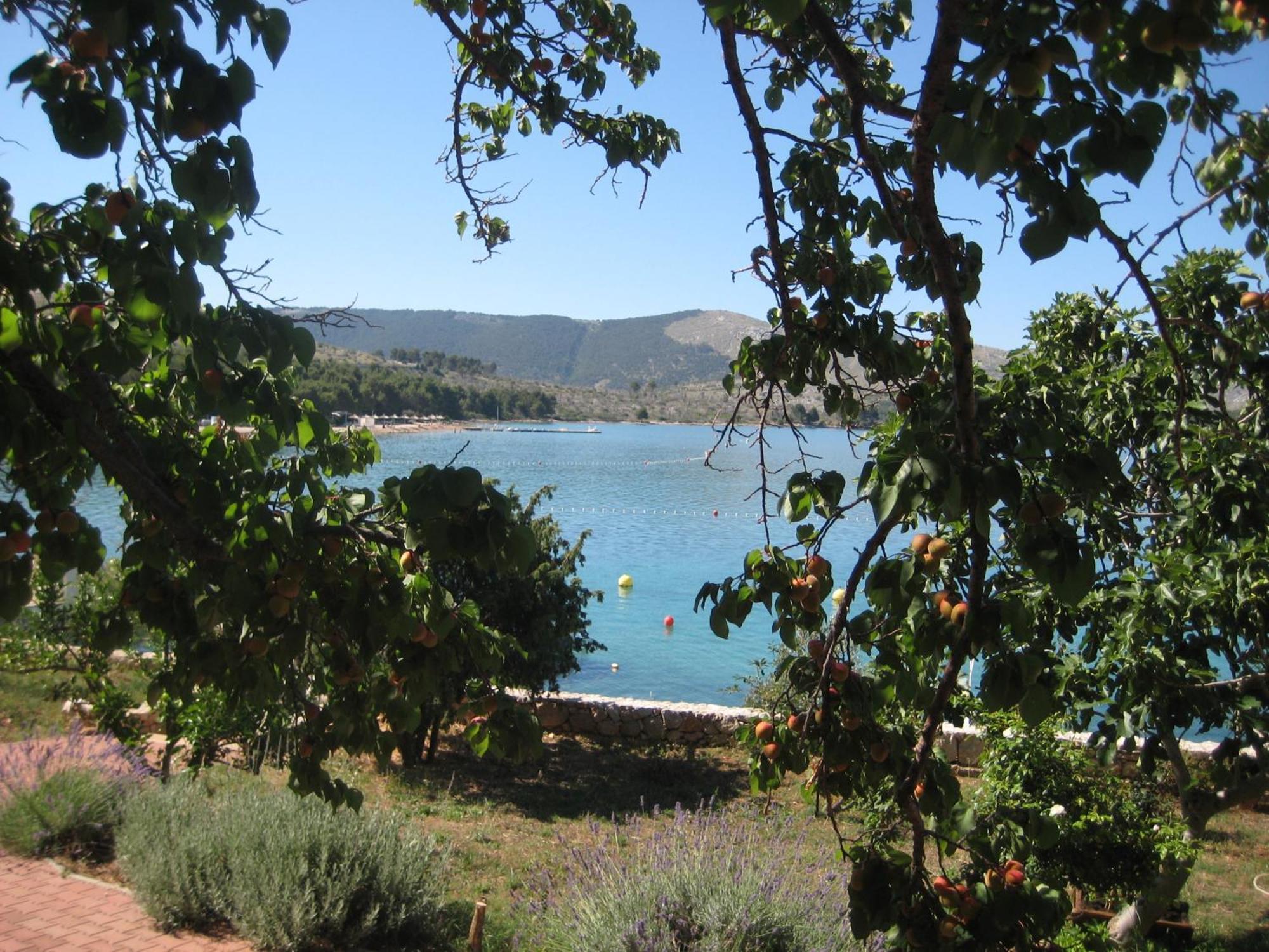 Apartments Pralija Mile Zaboric Εξωτερικό φωτογραφία