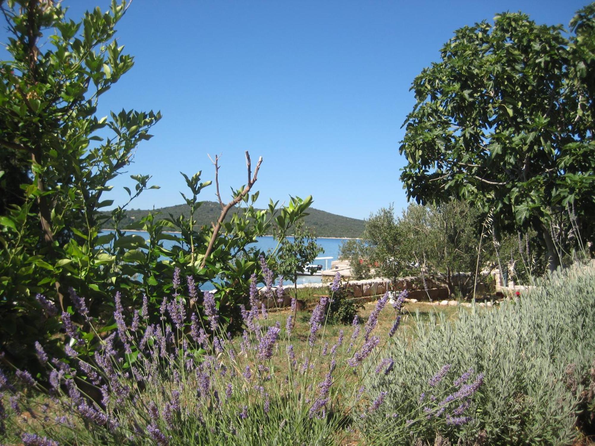 Apartments Pralija Mile Zaboric Εξωτερικό φωτογραφία