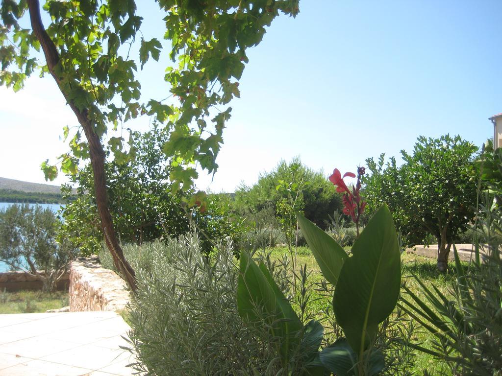 Apartments Pralija Mile Zaboric Εξωτερικό φωτογραφία